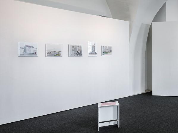 Ausstellungsansicht HABITAT, Salzamt Linz, 06.-29.11.2019, Foto: Florian Voggeneder (Ausschnitt)